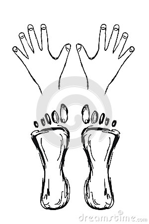Illustrated Sketch Of Hands And Feet Isolated On White Background