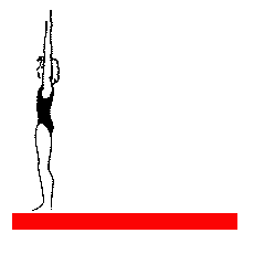 Sport Graphics   Gymnastics Sport Graphics
