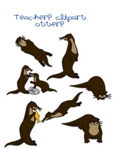 This Set Includes Realistic Otters In The Following Situation  All
