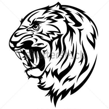 Vector Illustration   Realistic Black And White Outline Of Animal Head