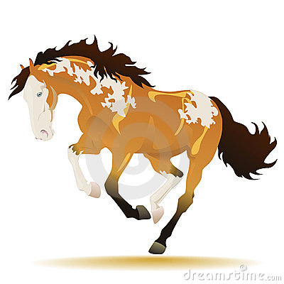 Beautiful Running Buckskin Paint Horse On A White Background Clipart