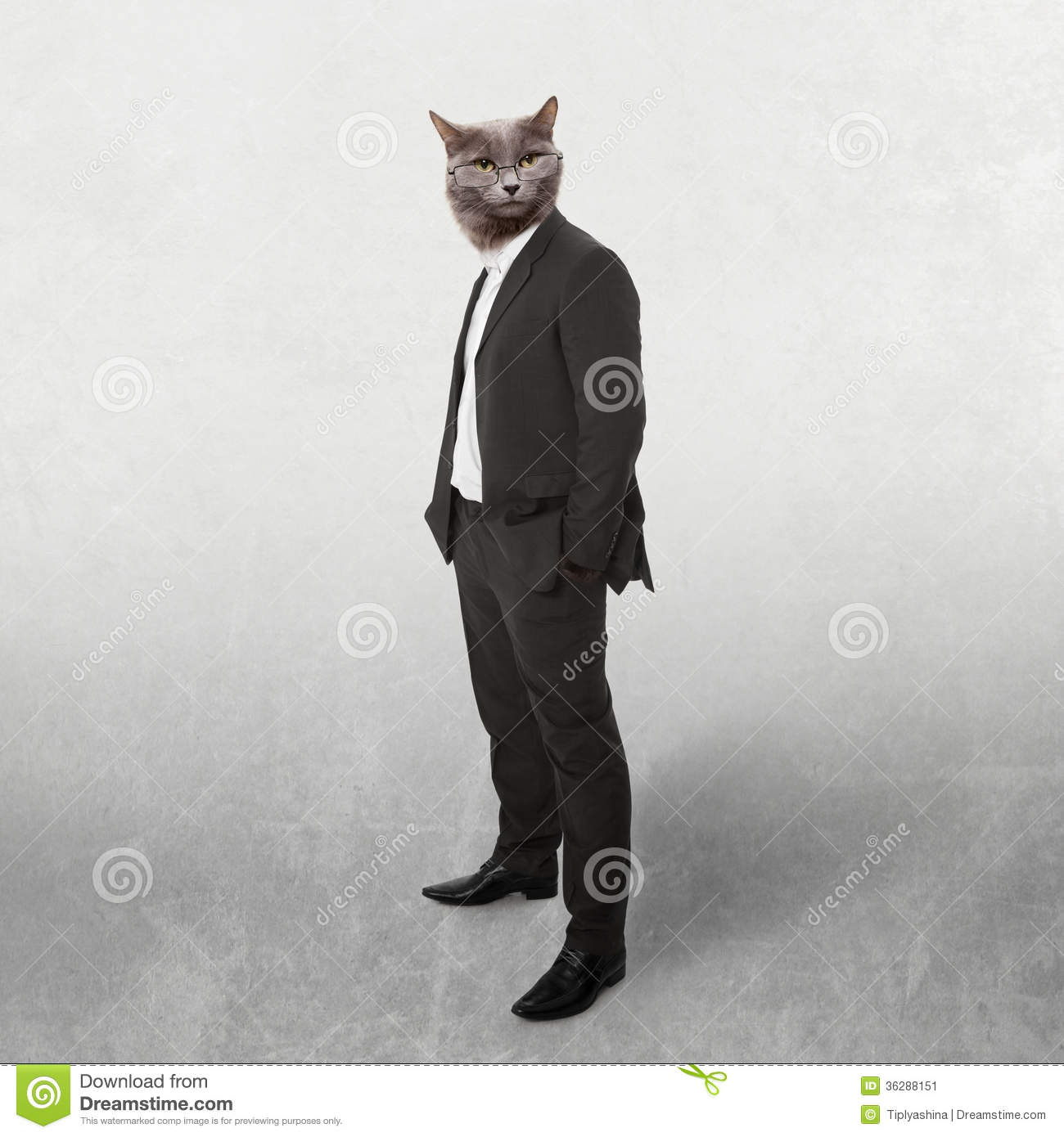 Funny Fluffy Cat In A Business Suit Businessman  Collage On A Grey