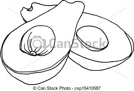 Vector Of Hand Drawn Sliced Avocado Vector   Illustration Of A Sliced