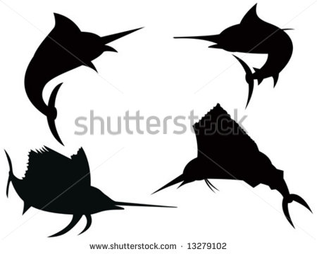 Bill Fish Stock Photos Images   Pictures   Shutterstock