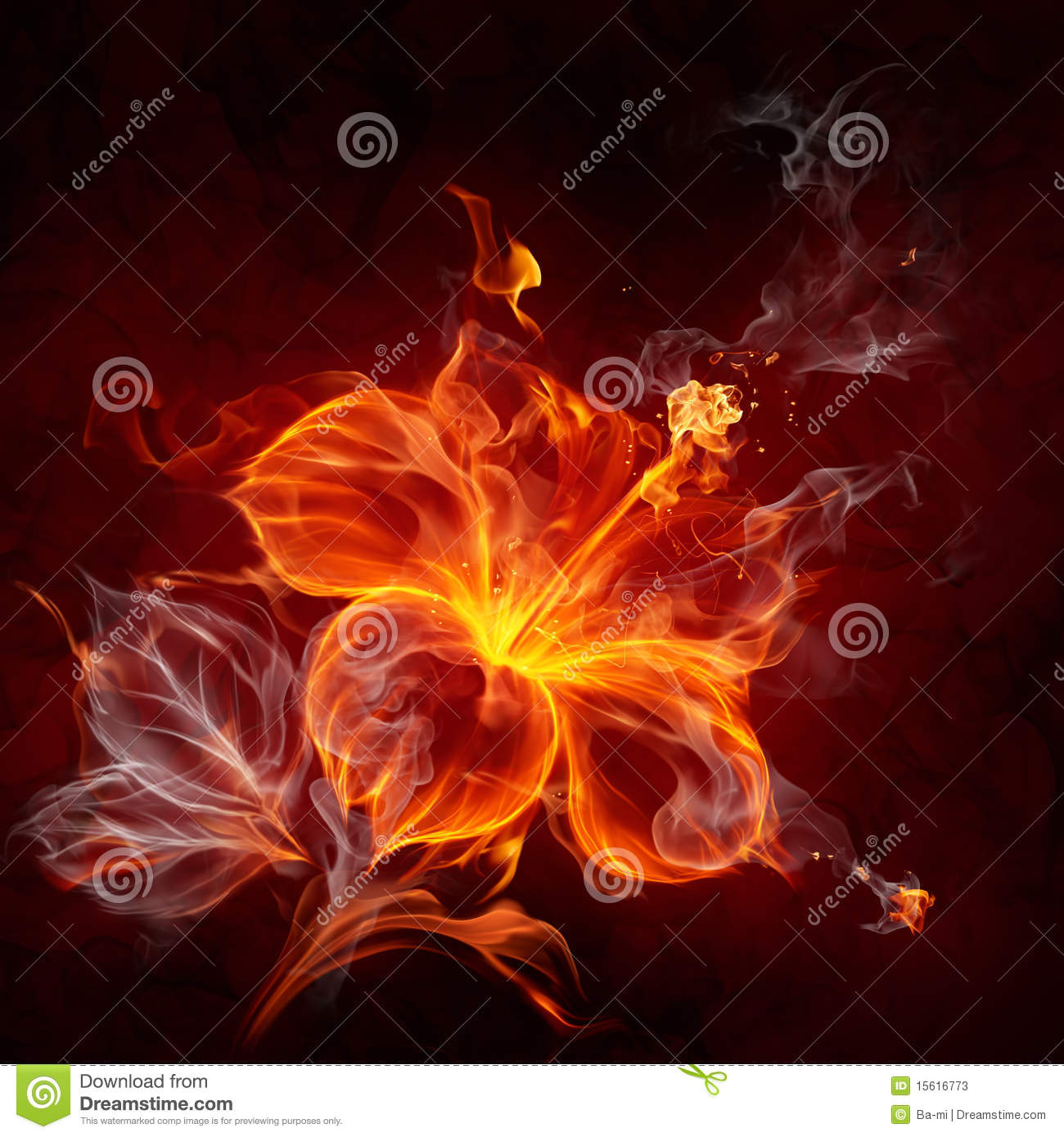 Burning Hibiscus Flower On Black Background