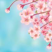 Cherry Blossom Clip Art  14