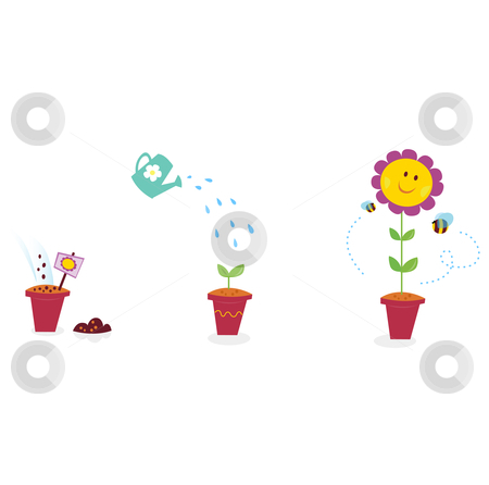 Growing Flower Clipart   Clipart Panda   Free Clipart Images