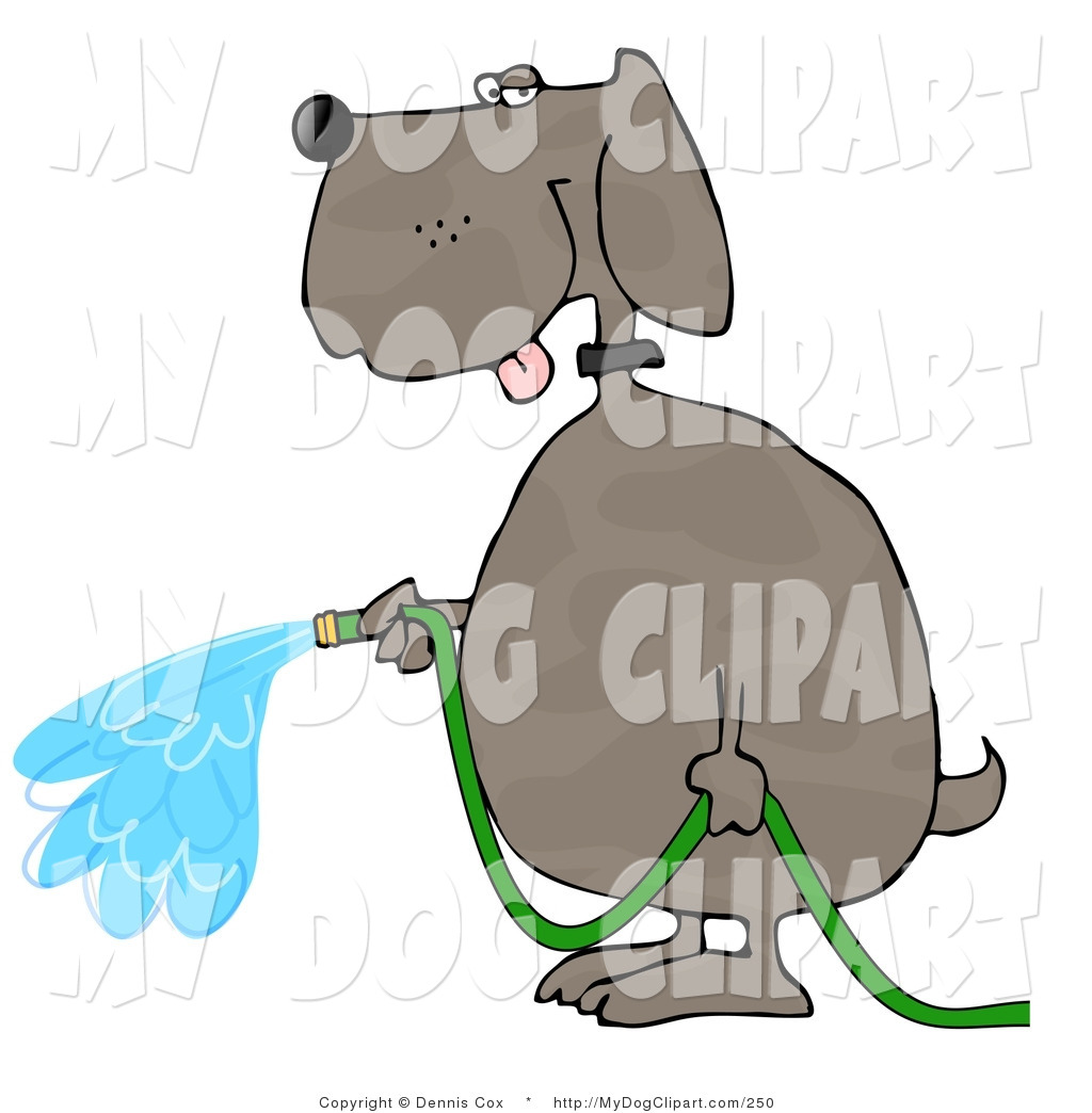 Human Like Brown Dog Watering Outdoor Plants With A Standard Household