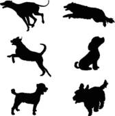 Of Border Collie Dog Jumping Through Hoop K10272578   Search Clipart