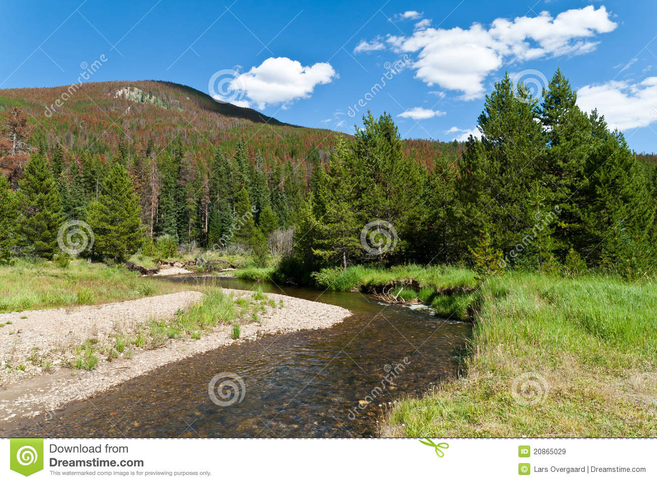 Rocky Mountains Royalty Free Stock Images   Image  20865029