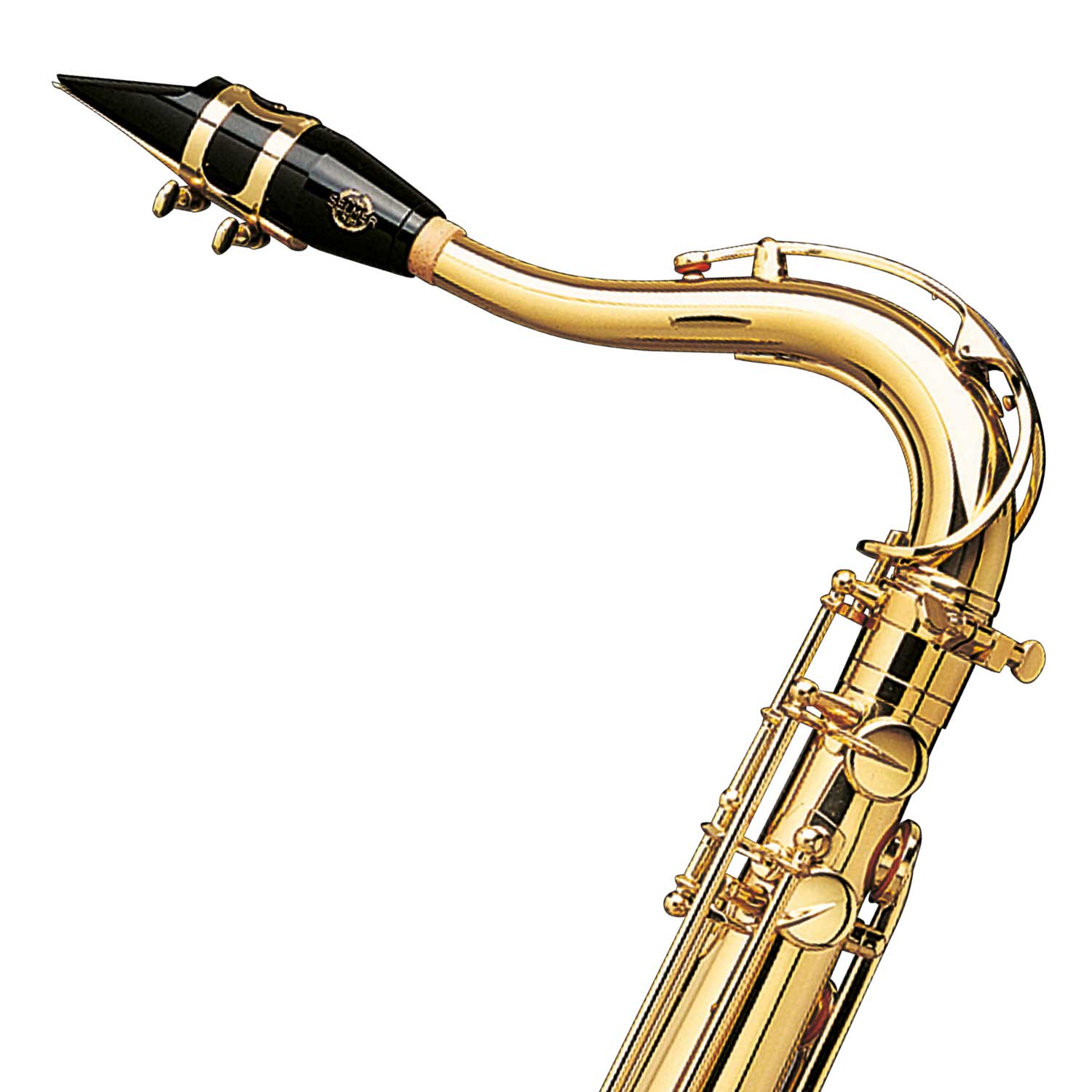 Saxophone Alto Saxophone Tenor Saxophone Soprano Saxophone    