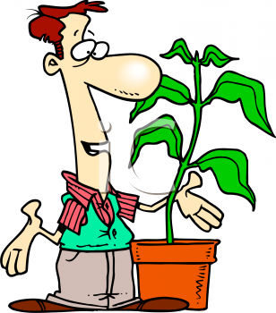 Talking Plants Cartoon Plant Funny Plants Green Plants