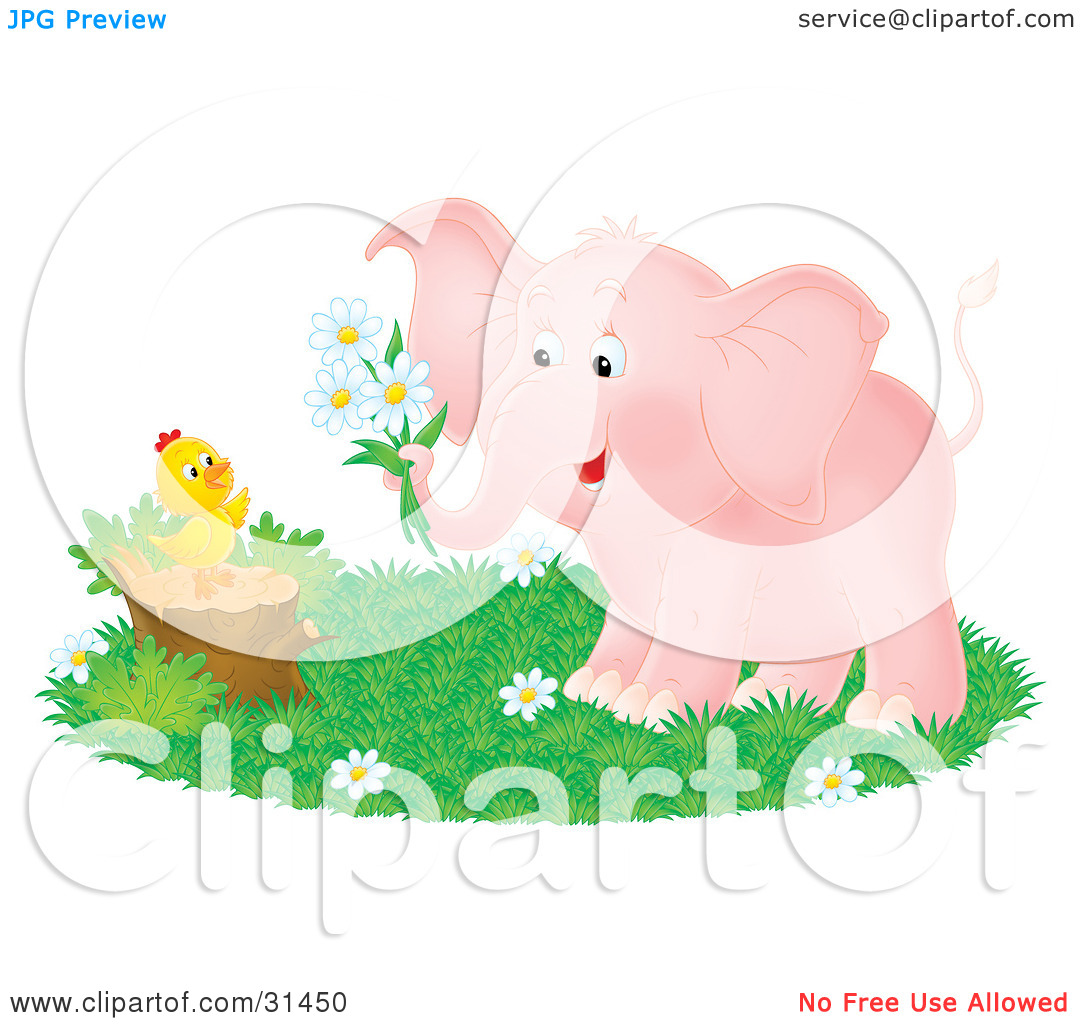 Clipart Illustration Of A Sweet Pink Elephant Giving Daisy Flowers To
