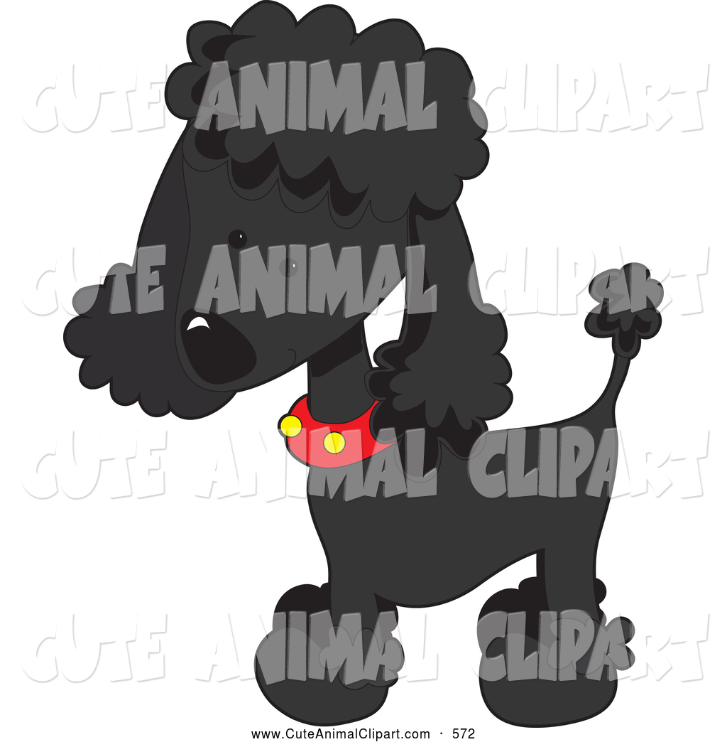 Larger Preview  Vector Clip Art Of A Friendly Cute Black Poodle Puppy
