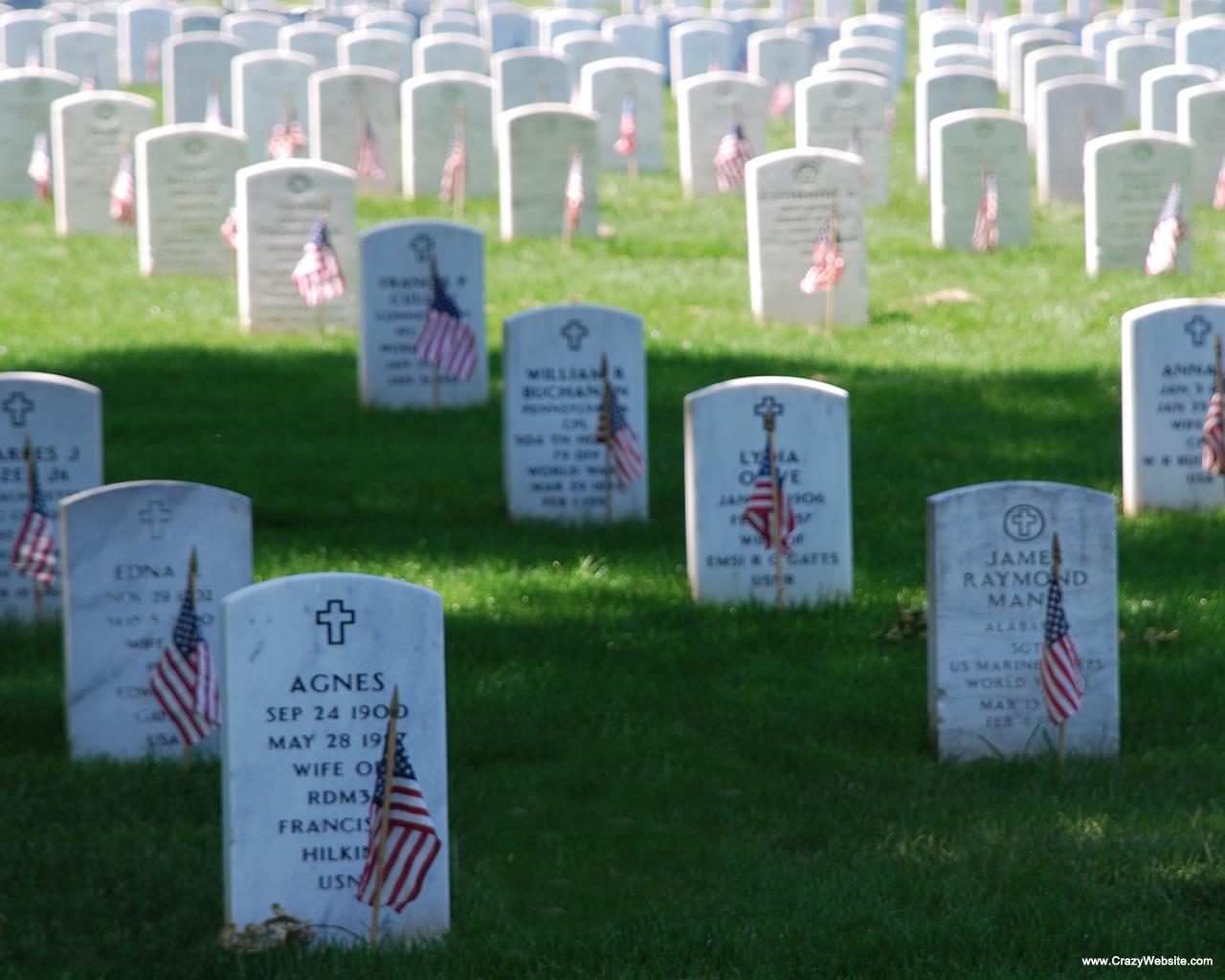 Memorial Day Art Patriotic Background  Arlington National Cemetery    