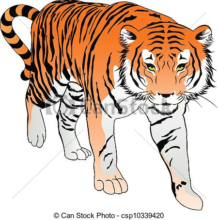 Tiger Orange Black And White Vector    Csp10339420   Search Clipart