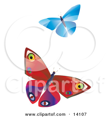 Two Colorful Butterflies One Blue One Red With Patterns Fluttering
