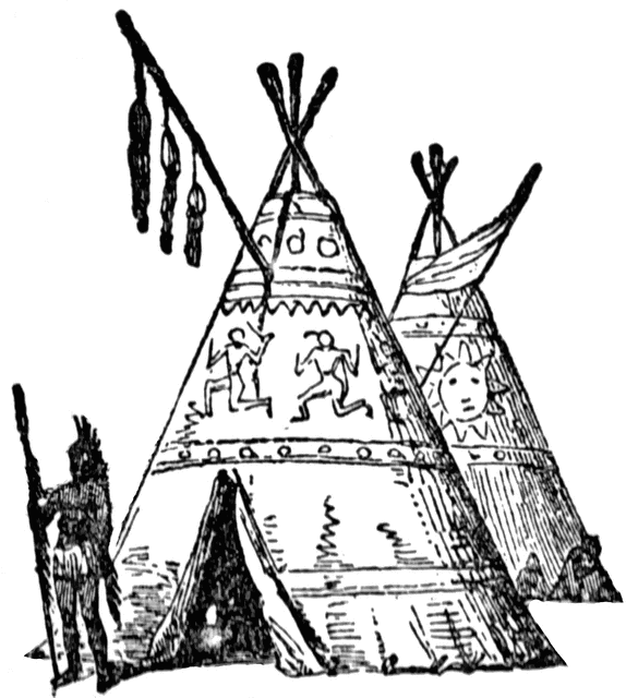 Native American Homes