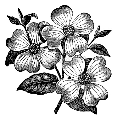 2011 Free Flowers Clip Art  Black And White Flower Clipart