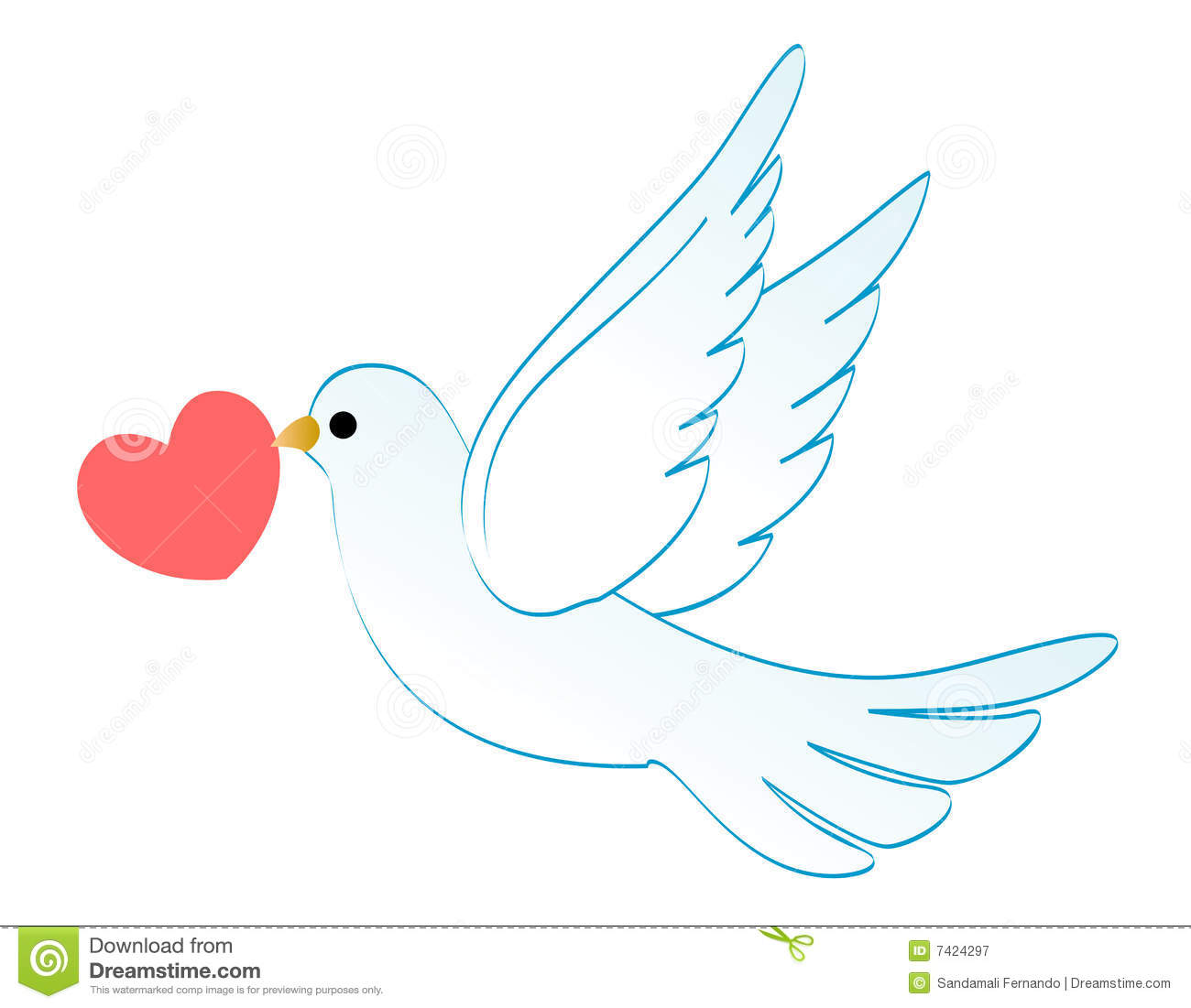 Beautiful White Dove Carrying A Red Heart Isolated On White Background    