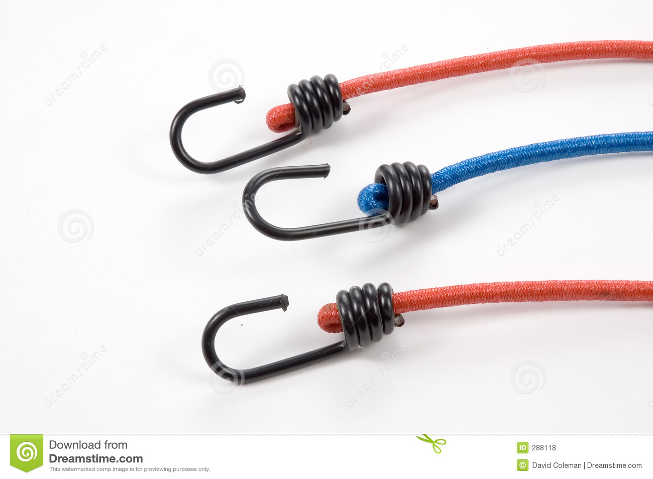 Bungee Chords Royalty Free Stock Photos   Image  288118