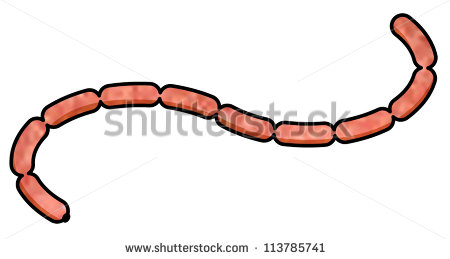 Chain Of Sausages    Stock Vector