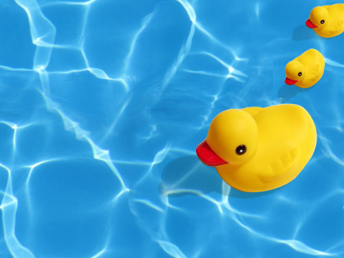 Rubber Duck Background Image   Flickr   Photo Sharing 