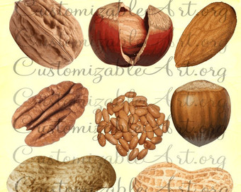 Sauage Clipart Digital Sausages Clip Art Images By Customizableart