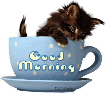 Good Morning Comments Graphics And Greetings Codes For Orkut