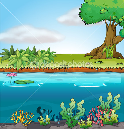 Land And Sea Clipart Land And Aquatic Environment