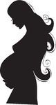 Pregnant Silhouette   Pregnant Illustrations And Clip Art  2356