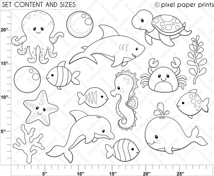 Sea Animals   Digital Stamps   Digital Stamps   Mygrafico Com   School