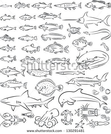     Sea Fishes And Creatures Collection In Black And White   Stock Vector