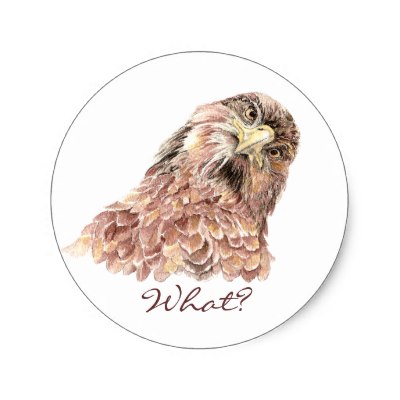 Zazzle Comcute Bird Saying What Funny Animal Custom Stickers By