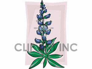 Bluebonnet Flower Clipart Book Covers