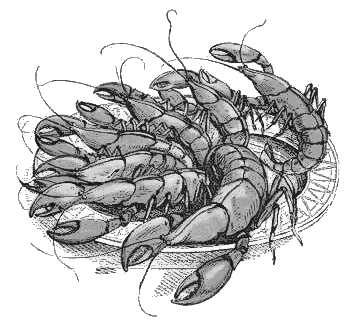 Lobsters On A Plate   Http   Www Wpclipart Com Food Seafood Lobster