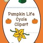 Pumpkin Life Cycle Clipart There Are 12 Graphics In All  This Set    