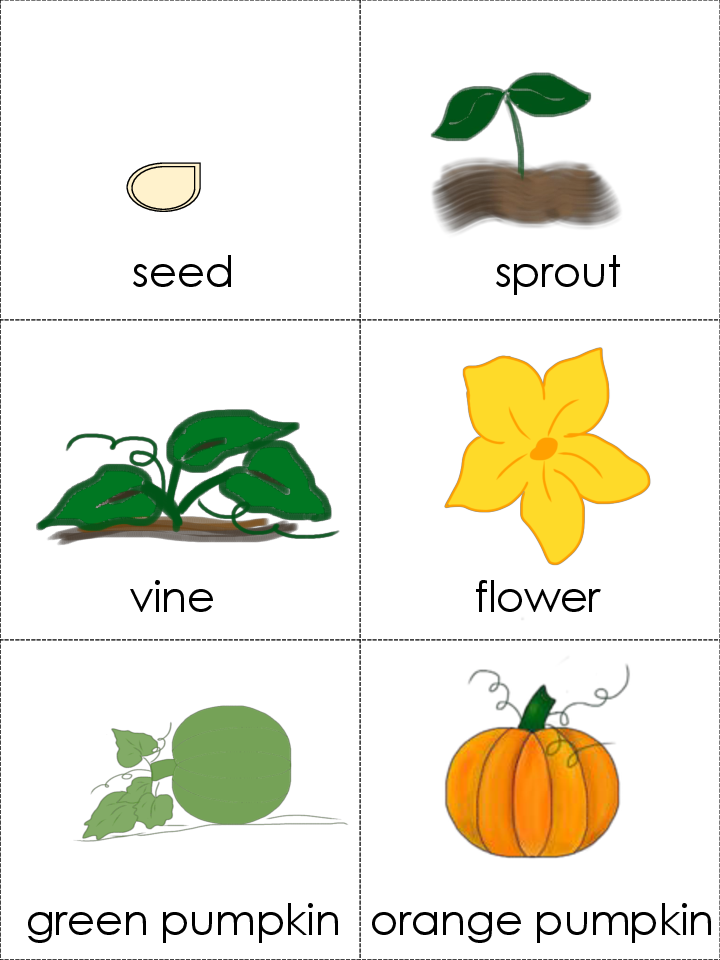 Pumpkin Life Cycle Science Printables And 10 Page Reader Lesson Plan