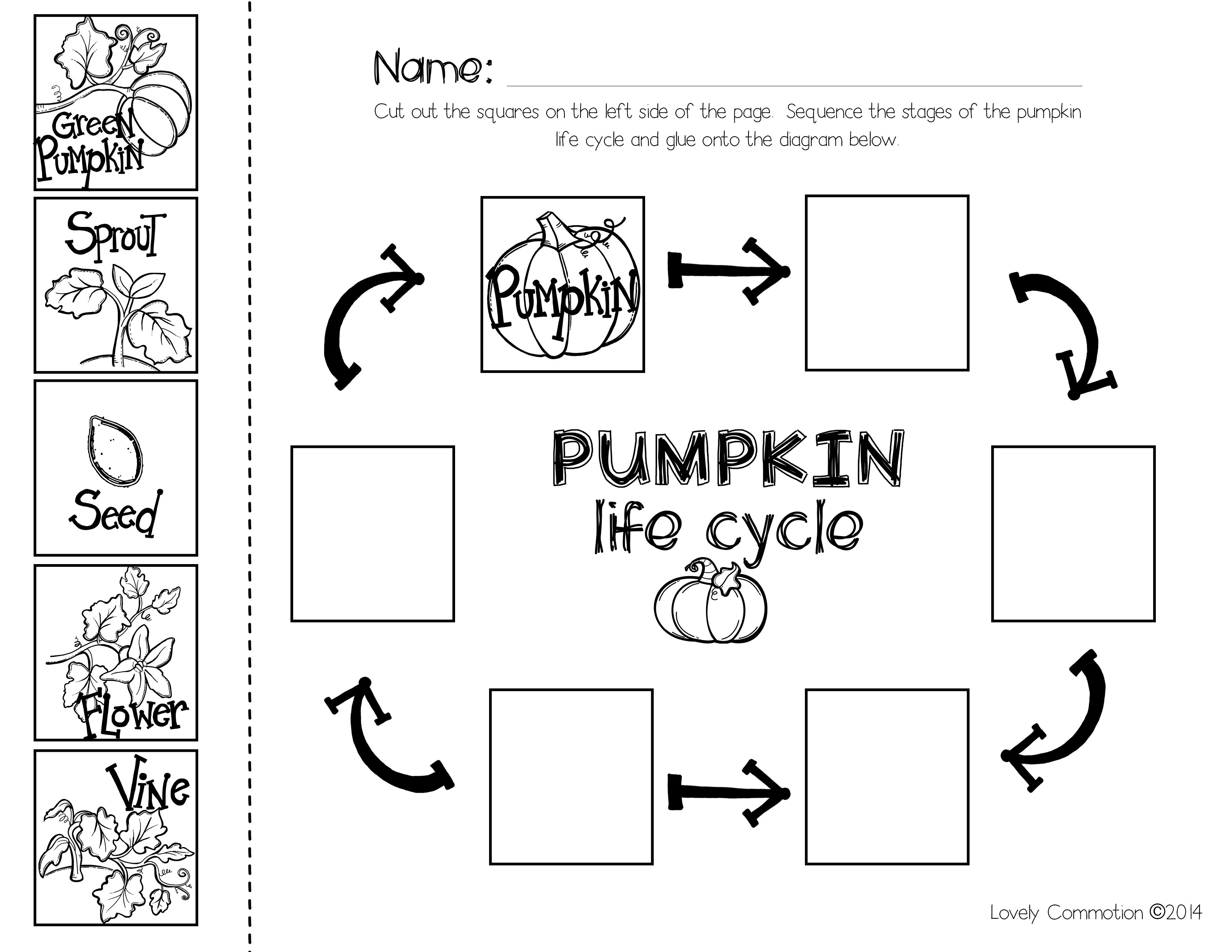 Pumpkin Sequencing With The Book Pumpkin Pumpkin   Lovely Commotion