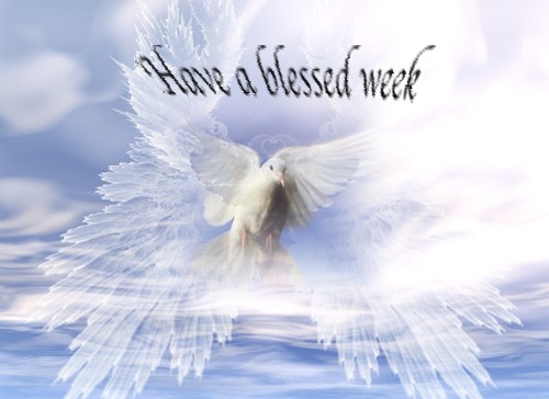 Clipart   Animals   Have A Blessed Week