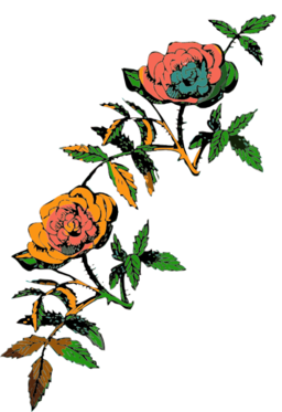 In Color Clipart   I2clipart   Royalty Free Public Domain Clipart