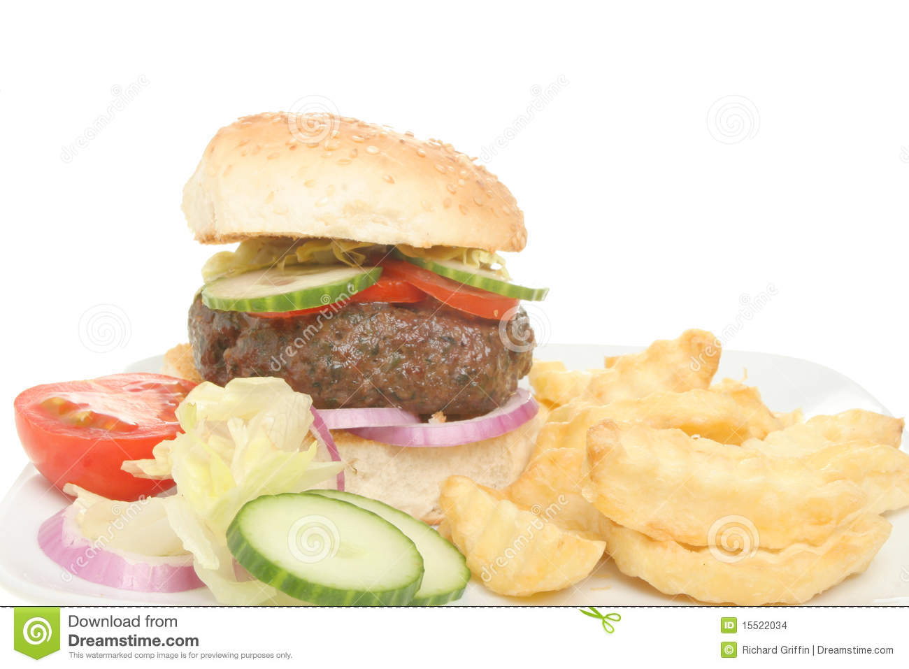 Burger And Chips Closeup Stock Images   Image  15522034