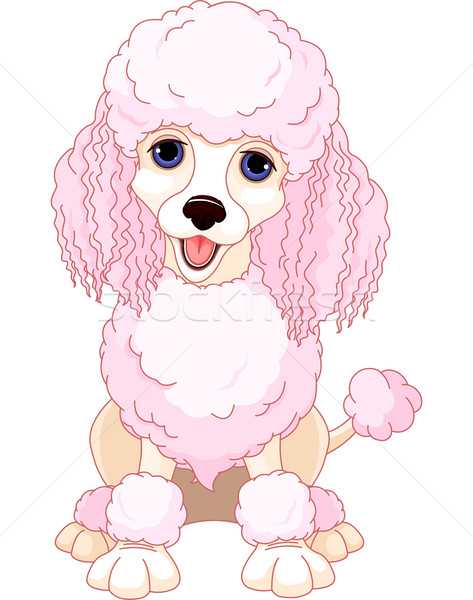 Pink And Black French Poodle Clip Art Image    M5x Eu