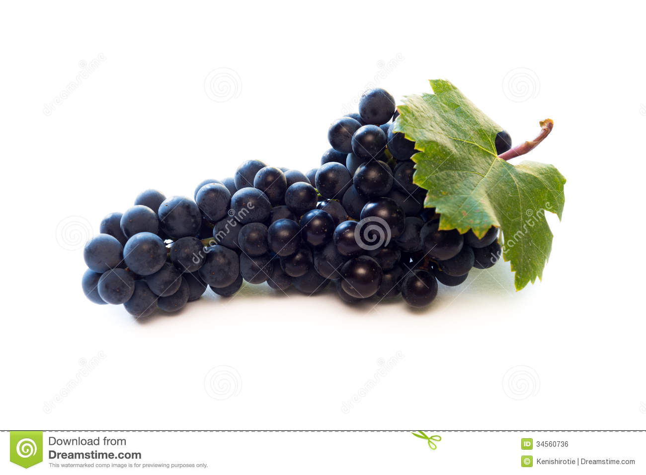 Red Wine Grapes Royalty Free Stock Image   Image  34560736