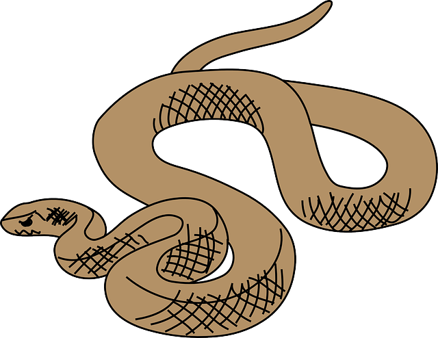 Snake Brown Art Reptile Slithering Curled Slither