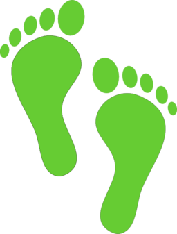 Steps Clipart Green Steps Clipart
