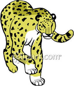 Walking Cheetah   Royalty Free Clipart Picture
