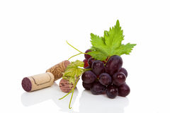 Wine Cork And Wine Grapes  Stock Images