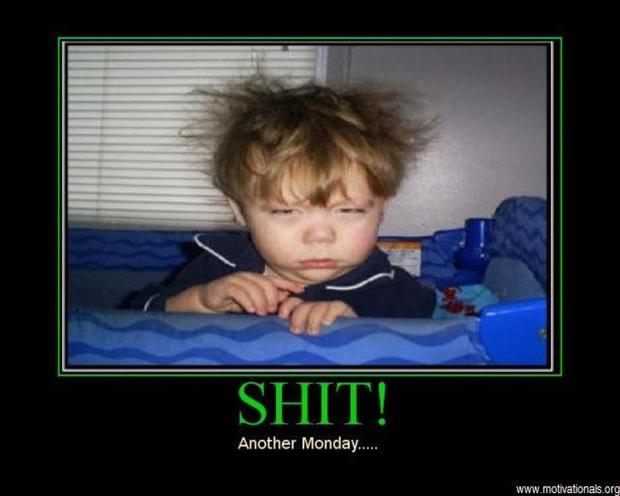 20  I Hate Monday  Funny Pictures