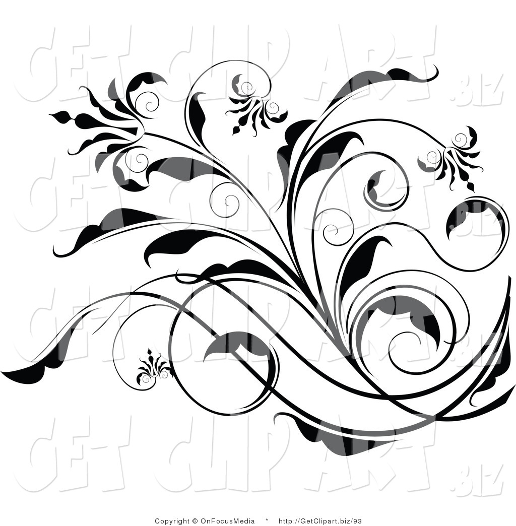 Black And White Floral Scroll Design Element On White Thick Black